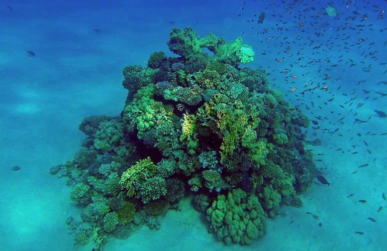 Katamaran & Segelboot Ausflüge in Hurghada
